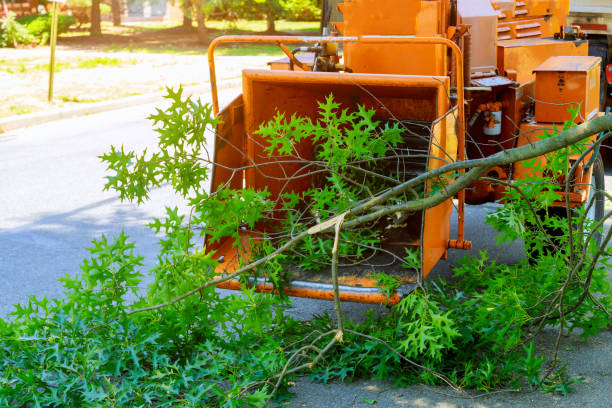 Best Seasonal Cleanup (Spring/Fall)  in Fredonia, WI